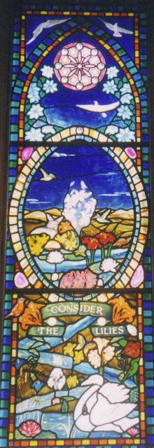 Consider the lilies of the field